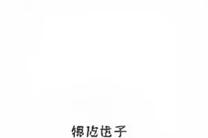 代言海报换色前后对照画面